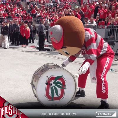 Share the best GIFs now >>>. . Ohio state buckeyes gif